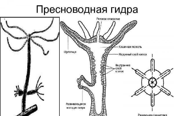 Кракен даркмаркет плейс