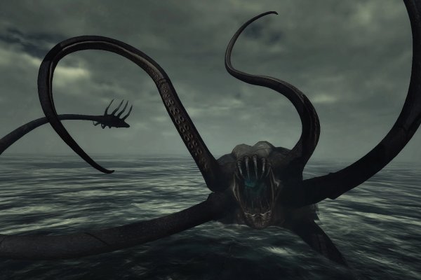 Kraken site