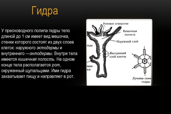 Кракен сообщество